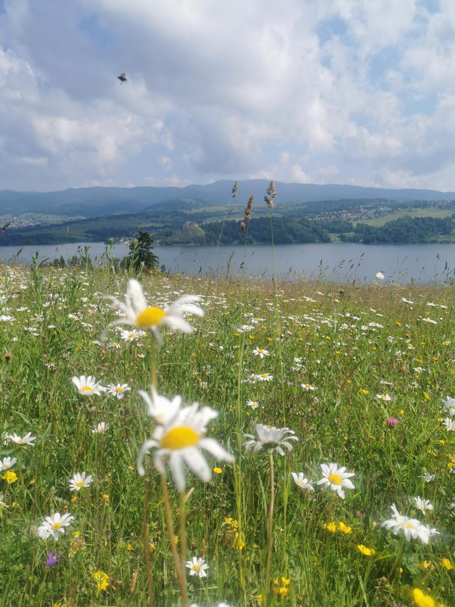 Willa Wzgorze Niedzica Zamek Bagian luar foto